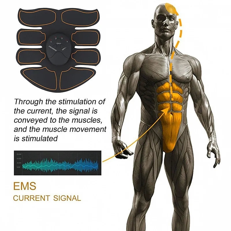 Electro Muscle Stimulation (EMS) Fitness Trainer for Effective Muscle Stimulation